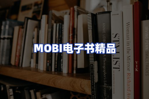 外文电子书产品